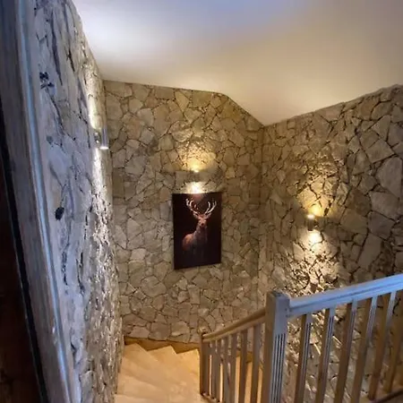 Chalet Le Joli Bois 12 Personnes Spa Sauna Billard Petanque Vakantiehuis Gérardmer