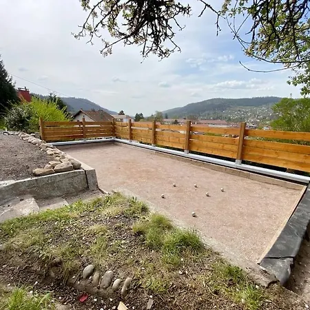 Chalet Le Joli Bois 12 Personnes Spa Sauna Billard Petanque Gérardmer