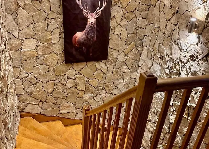 Le Joli Bois Gérardmer