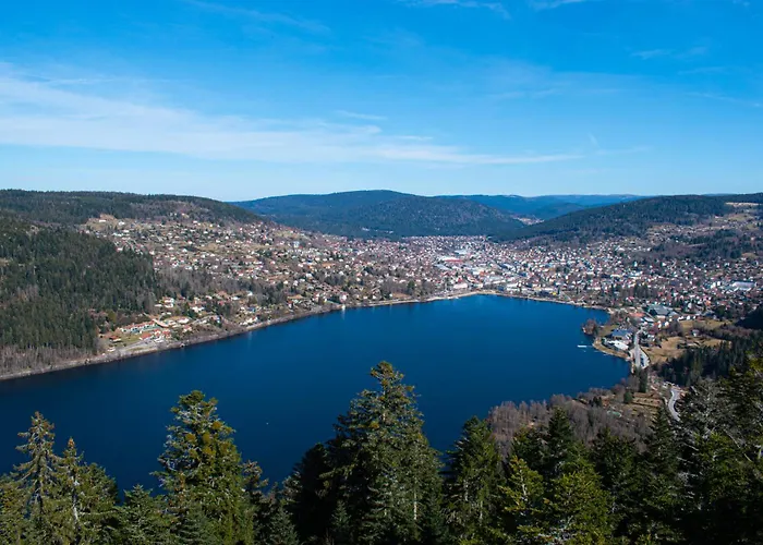 Le Joli Bois * Gérardmer